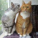 unlikelybirdcollectoruniverse avatar