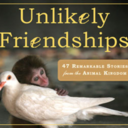 unlikelyfriendshipsbook avatar