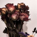 unlikelymagic avatar