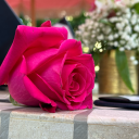 unlikelysaintdelele avatar