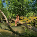 unlimited-rice-pudding avatar