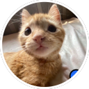 unlimitedtimber avatar