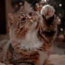 unlivablelove avatar