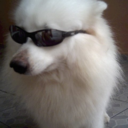 unlockthedoor avatar