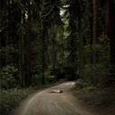 unlovable-insomniacd avatar