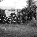 unlucky-bastard avatar