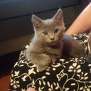 unlucky-inlove avatar