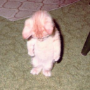 unluckycl0verr avatar