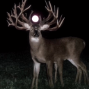 unluckymagg0t333 avatar