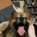 unmotivatedbadger avatar