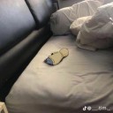 unmoved-woffle avatar