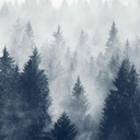 unnamed-weird-person avatar