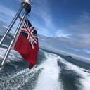 unnatural--disaster avatar