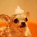 unnaturaltitties avatar