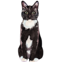 unnecessary-as-fuck avatar