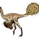 unofficial-oviraptors avatar