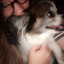 unofficialmads avatar