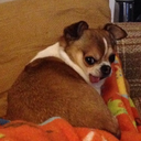 unofficialwhiteperson avatar