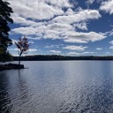 unplannedlife avatar