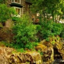 unpottytrining avatar