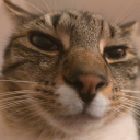 unqualifiedqueer avatar