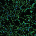 unravelingtheuniverse avatar