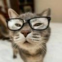 unrealglassescat avatar