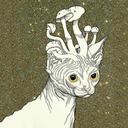 unreasonablyannoying avatar