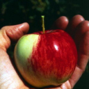 unrelated-things-etc avatar