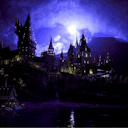 unrestricted-section avatar