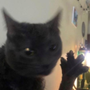 unrulyandstubborn avatar