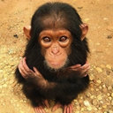 unrulytermination avatar