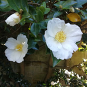 unsettlinglyholy avatar