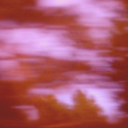 unshynessmoviesbooks avatar