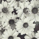 unsichtbares-mdchn avatar