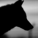 unsightlybeauty avatar