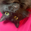 unstabletable69 avatar