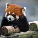 unstoppablehiggs avatar