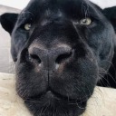 unsurehowtofeel avatar