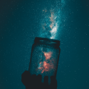 untamablesouls avatar