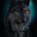 untamedabaven avatar