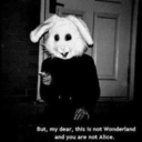 unterverschluss avatar