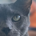 until-mourning avatar