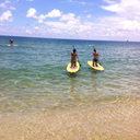 until-the-lights-go-out avatar