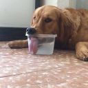 untitled-bookworm avatar