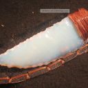 untitledsexdocument avatar