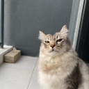 untittled0000 avatar