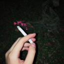 untold-feelings avatar