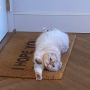 untouchablee13 avatar