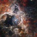 unused-account-finale avatar